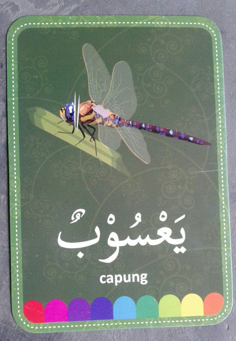 Flash Cards Huruf Hijaiyah Belajar Islam Dan Bahasa Arab | Toko Muslim