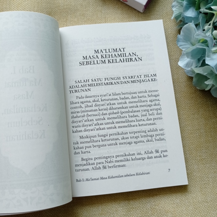 Buku Tuntunan Praktis Dan Padat Bagi Ibu Hamil Dari A – Z