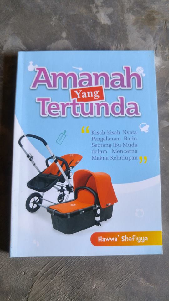 Buku Amanah Yang Tertunda cover