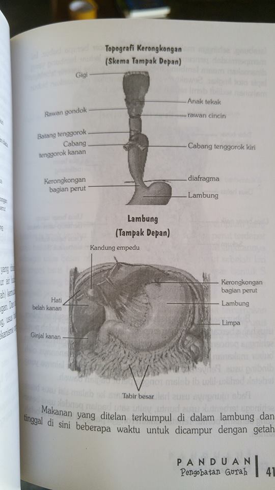 panduan pengobatan gurah buku isi 2