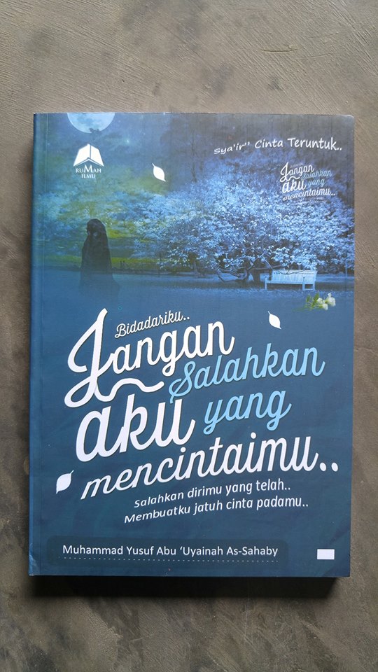 Buku Bidadariku Jangan Salahkan Aku Yang Mencintaimu cover
