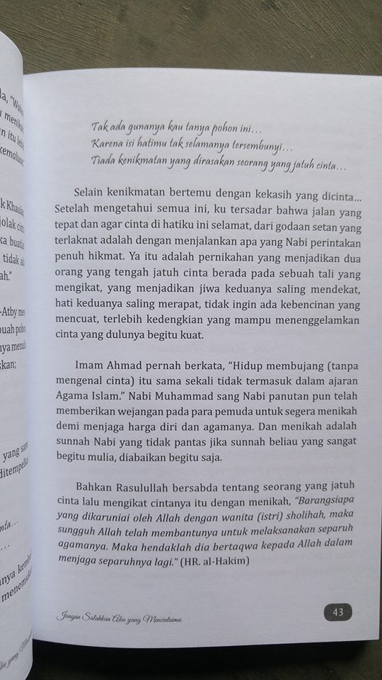 Buku Bidadariku Jangan Salahkan Aku Yang Mencintaimu isi