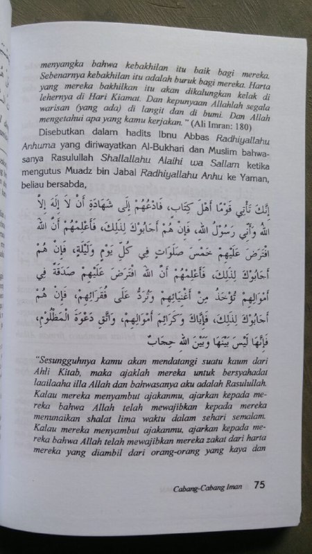 Buku Syarah 77 Cabang Iman isi 2