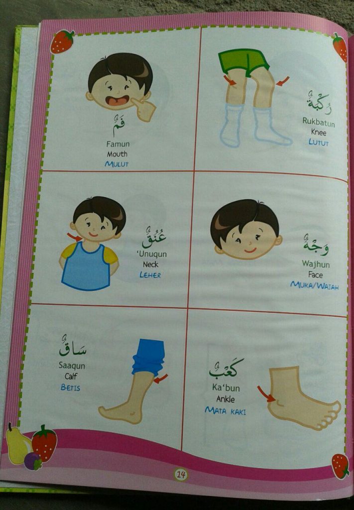 Buku Kamus Anak 3 Bahasa Arab Indonesia Inggris isi 3