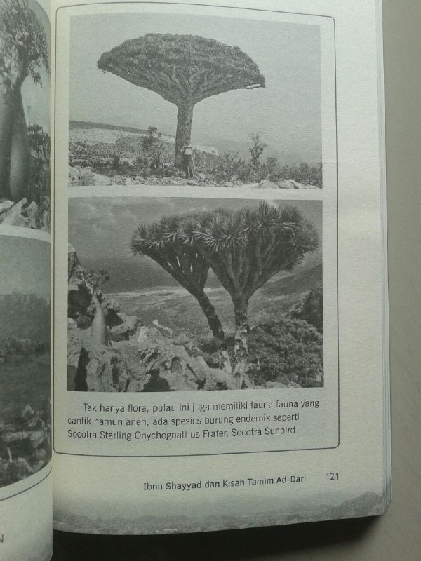 Buku Misteri Dajjal Akhir Zaman Kajian Hadits Tentang Ibnu Sayyad isi 3