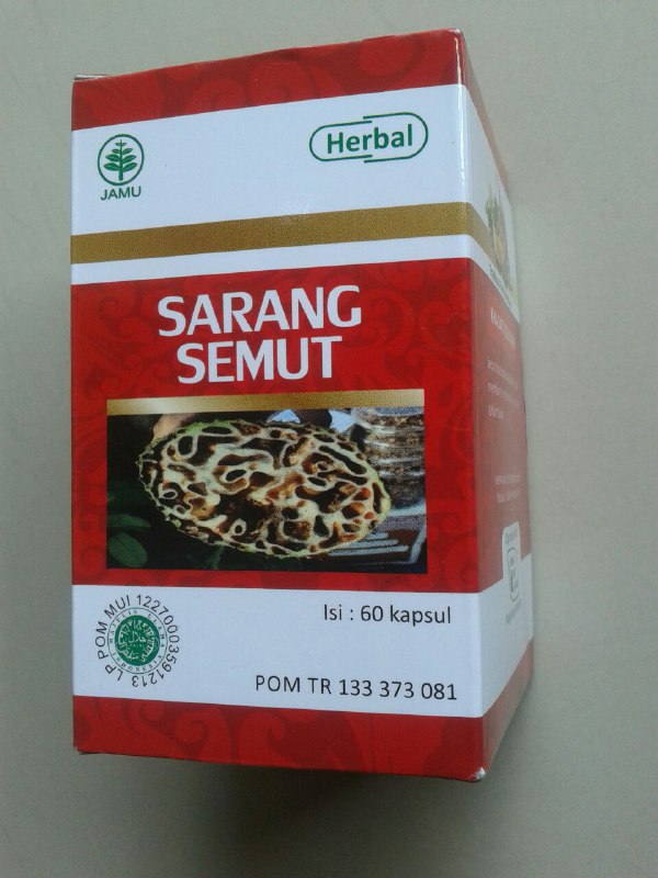Herbal Kapsul Sarang Semut cover 2