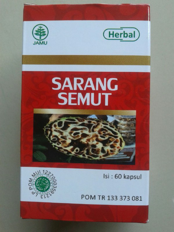 Herbal Kapsul Sarang Semut cover