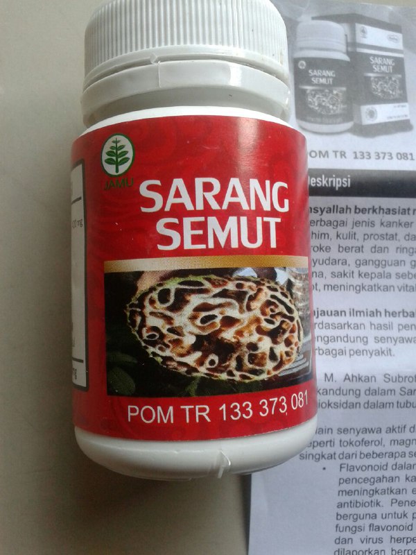 Herbal Kapsul Sarang Semut isi