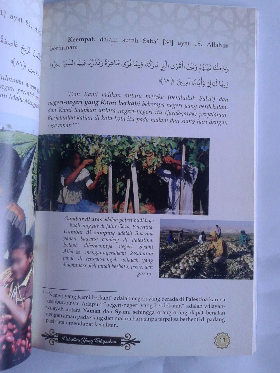 Buku Palestina Yang Terlupakan isi 3