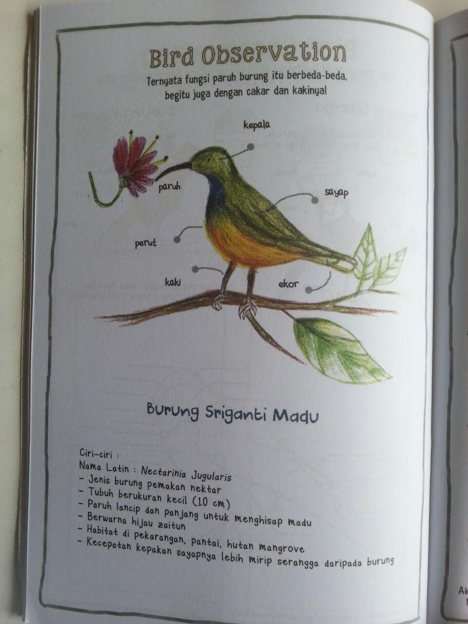 Buku Anak My Nature Journal Pengamatan Dan Gambar Ulang Di Bukuku isi 2