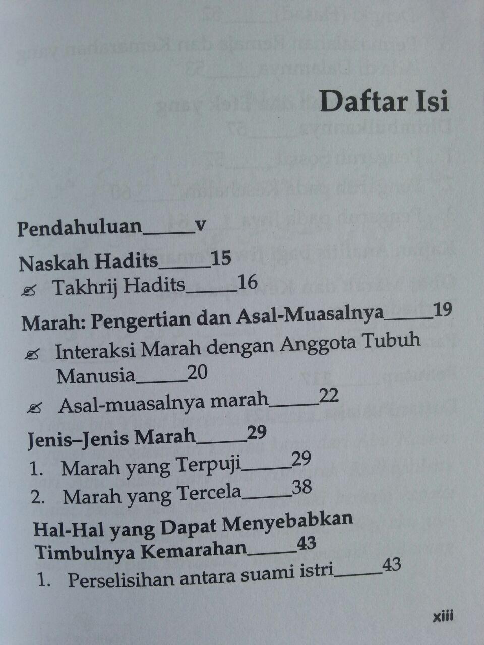 Buku La Taghdhab Metode Nabi Dalam Mengobati Marah isi
