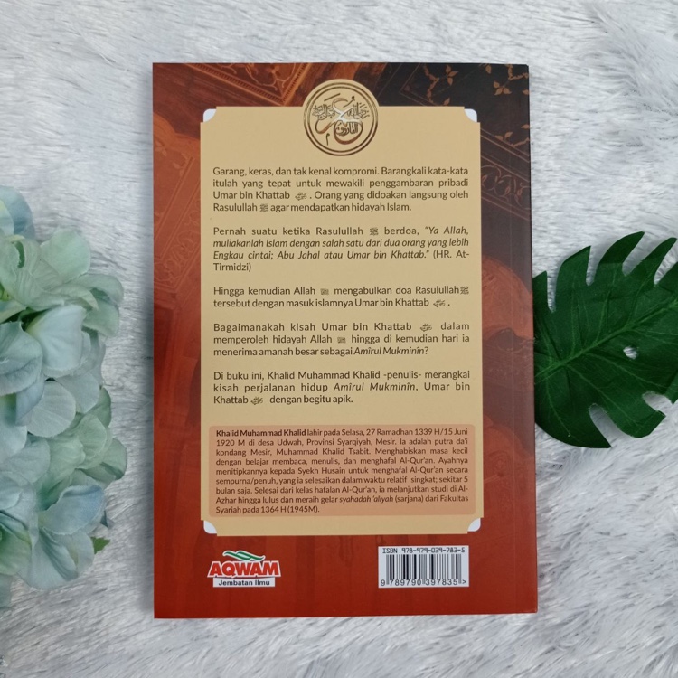 Buku Umar Bin Khattab Hidayah Allah Diperolehnya Serial Khilafah Jilid 2