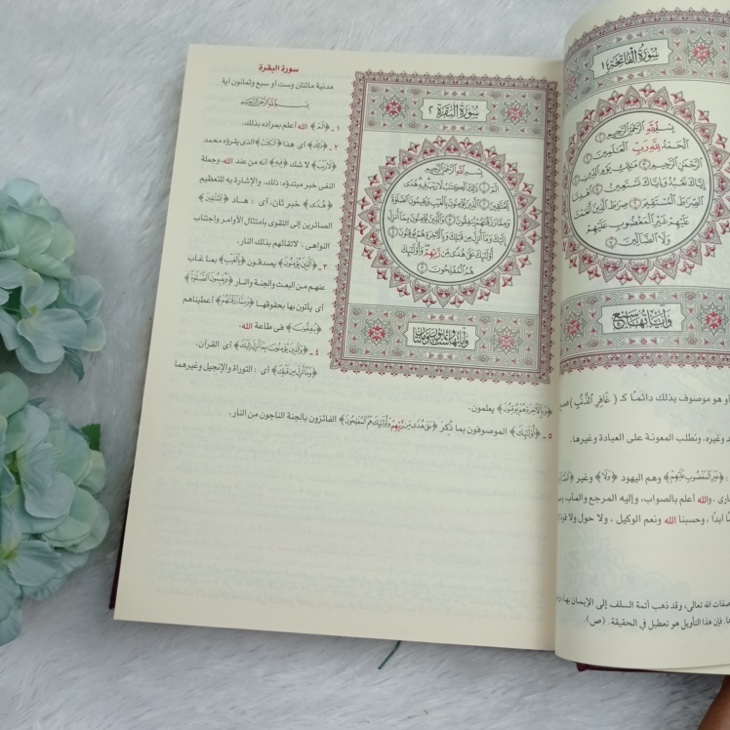 Kitab Tafsir Al-Jalalain Bihamisy Al-Qur'an Al-Karim